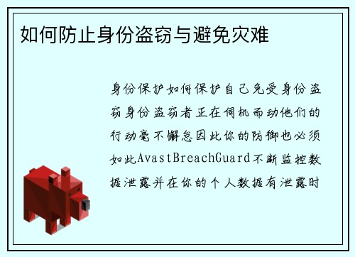 如何防止身份盗窃与避免灾难