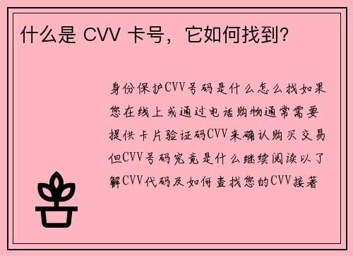 什么是 CVV 卡号，它如何找到？